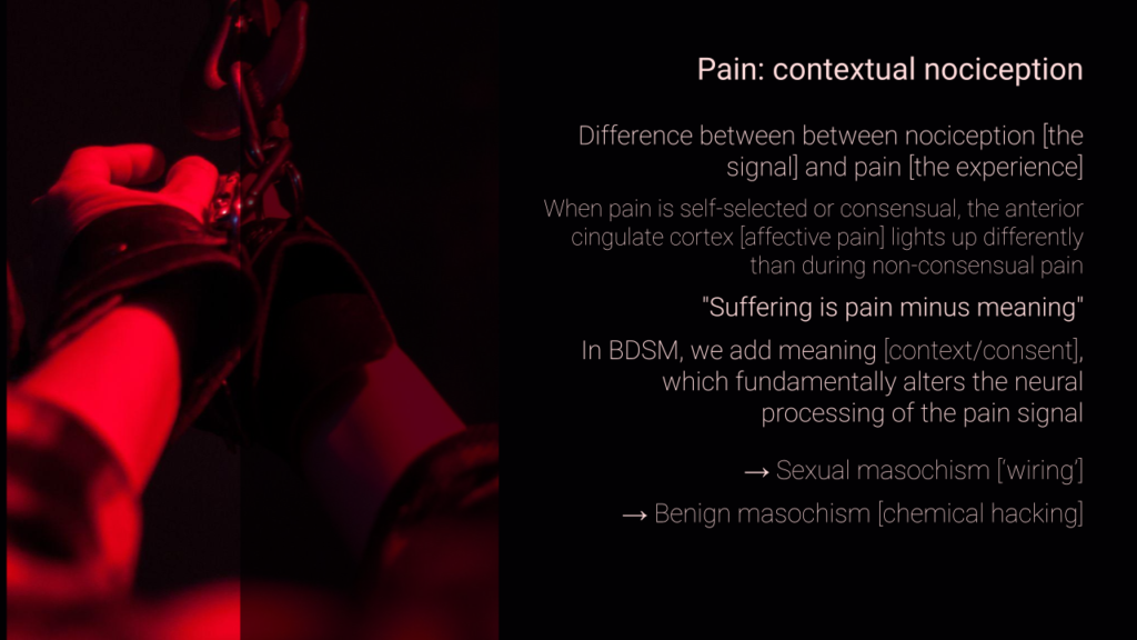 Sensation: Agony, Ecstasy & Erotic Intensity (slide)
