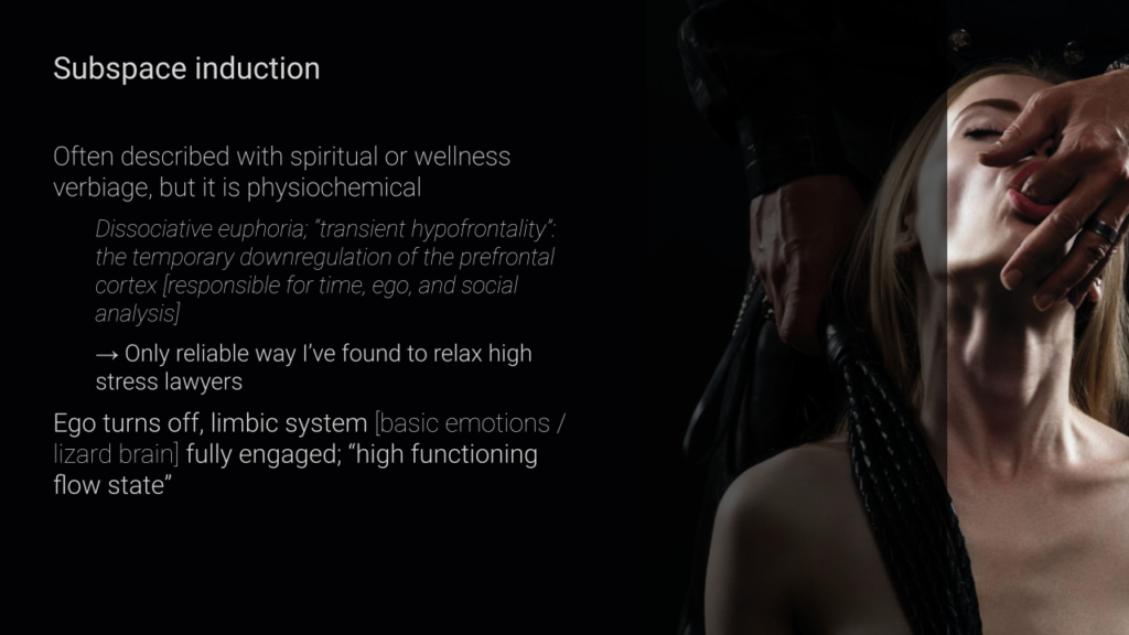 Sensation: Agony, Ecstasy & Erotic Intensity (slide)