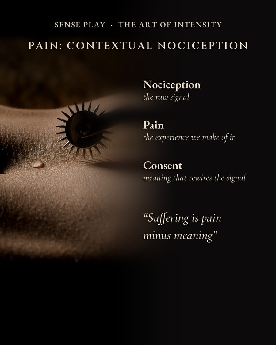 Sample seminar card from Sense Play: The Art of Intensity. Pain: contextual nociception.