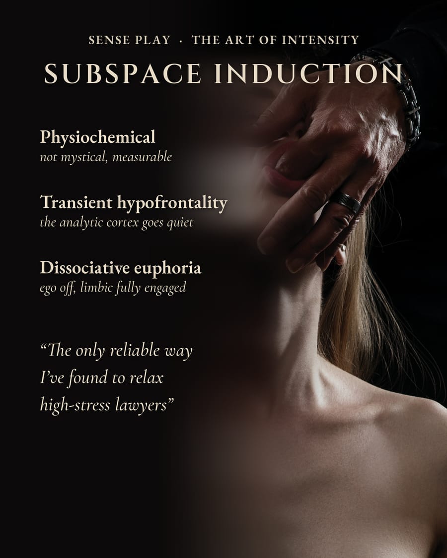 Sample seminar card from Sense Play: The Art of Intensity. Subspace induction.